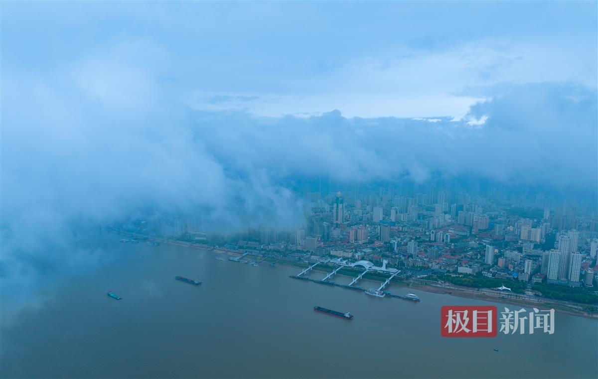 百家乐龙宝